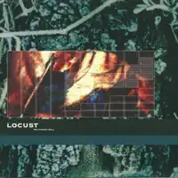 Moist Moss — Locust