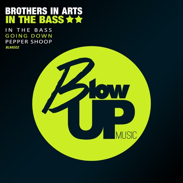 In the Bass - Single