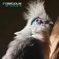 Madagascar (Ferry Corsten Remix (Remastered 2009)) — Art of Trance