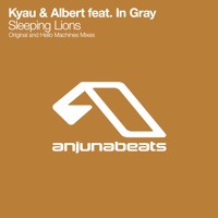 Sleeping Lions (feat. In Gray) - Single - Kyau & Albert