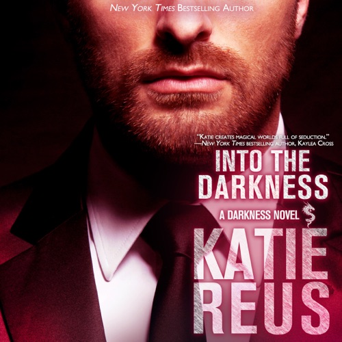 Into the Darkness: Darkness Series, Book 5 (Unabridged) cover