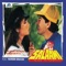 Chehra Kya Dekhte Ho - Asha Bhosle & Kumar Sanu lyrics