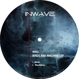 Birds & Machines - Single