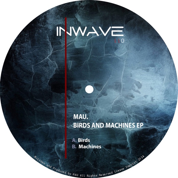 Birds & Machines - Single