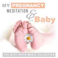 Nature Music Pregnancy Academy - My Pregnancy Meditation & Baby: The Best Birth Music Collection, Relaxation Music for Labor, Prenatal Yoga, Calm Nature Sounds for Reduce Stress artwork