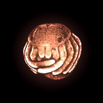 Daydream Wonder (Beach Edit) [feat. Mwnmwnmwn] - Single