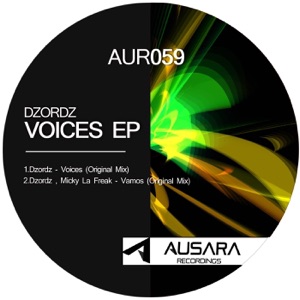 Voices - Single