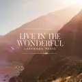 Live in the Wonderful