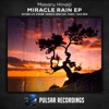 Miracle Rain - EP