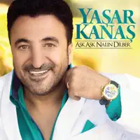İnsan Kalmamış — Yaşar Kanaş