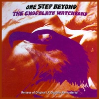 The Chocolate Watchband - Uncle Morris