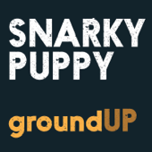 Quarter Master - Snarky Puppy