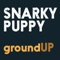 Binky - Snarky Puppy lyrics