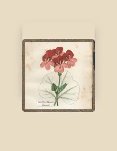 收听 Eris Van Bloom、观看音乐视频、阅读小传、查看巡演日期等 ！