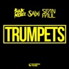 Sak Noel - Trumpets (feat. Sean Paul)