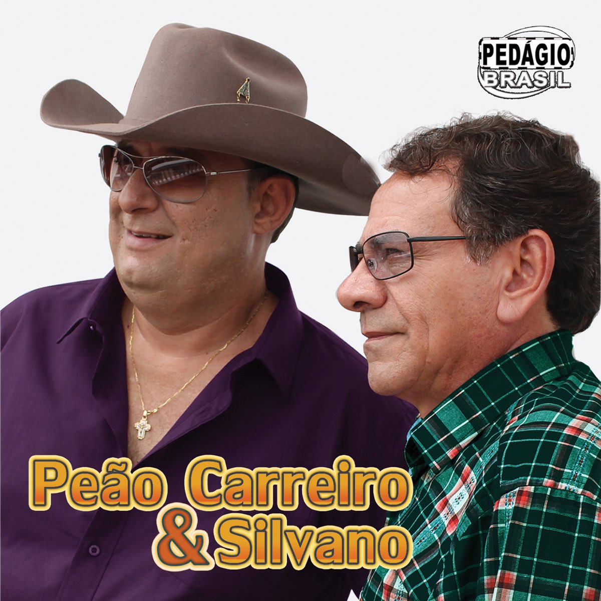 O Peão e o Ricaço — música de Sulino & Marrueiro — Apple Music