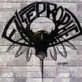 Shroud Of Truth