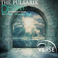 Destiny - Single - The Pulsarix
