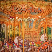 Jetzt kommen die eleganten Elefanten!