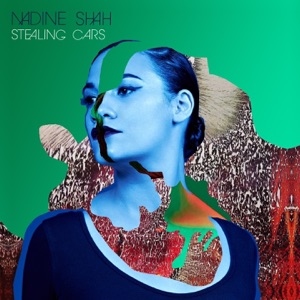 Stealing Cars - Single