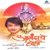 Ajit Kadkade - Anandache Dohi