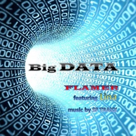 Big Data (feat. Lina) Flamer