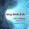 Big Data (feat. Lina) - Flamer lyrics