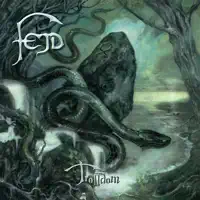 Vinternatt — Fejd