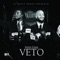 Veto (Instrumental) - WOLF P.A.K.K. lyrics