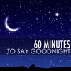 Goodnight Moon - Deep Sleep Ambient Music Spa Collection cover art