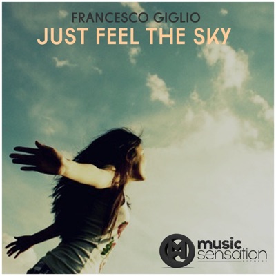 Just Feel the Sky - Single
