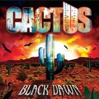 Black Dawn - Cactus
