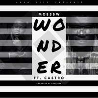 Wonder (feat. Castro) - Single - Moesbw