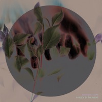 Brusque Twins - Stone Communication