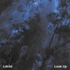 Look Up - Single