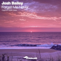 Forget Me Never - Single - Josh Bailey