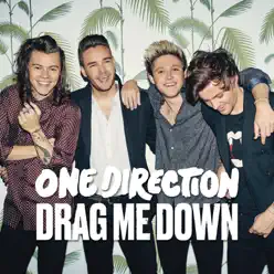 Drag Me Down - Single - One Direction