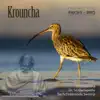 Stream & download Meditation Tunes - Pakshi / Bird - Krouncha