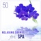 Ambient Music for Beauty Salon - Tranquility Spa Universe lyrics