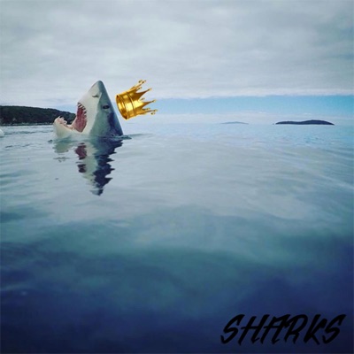 Sharks - Single