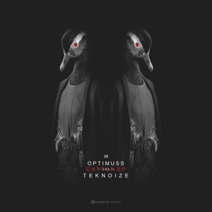 Catton - Single