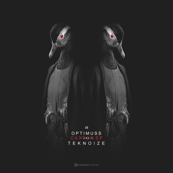 Catton - Single