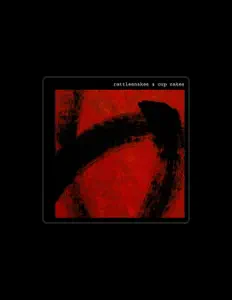 Escucha a Article 9, mira videos musicales, lee su biografía, consulta las fechas de las gira y más.