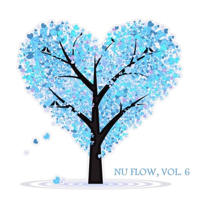 Nu Flow, Vol. 6