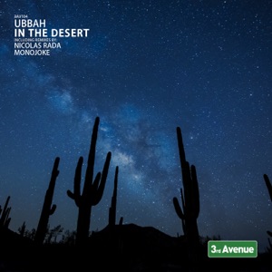 In the Desert - Single
