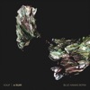 A Ruin (Blue Hawaii Remix) - Single