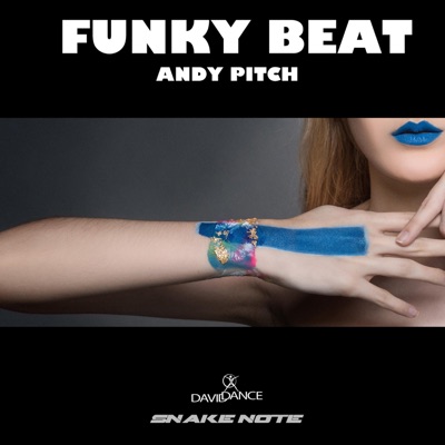 Andy Pitch - Funky Beat