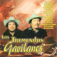 Album cover for Calle 5 de Mayo by Los Tremendos Gavilanes