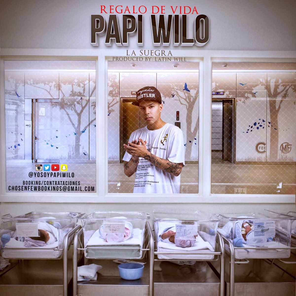 Regalo de Vida (Suegra) - Single de Papi Wilo en Apple Music