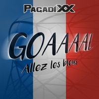 Goaaaal (Allez les bleus)